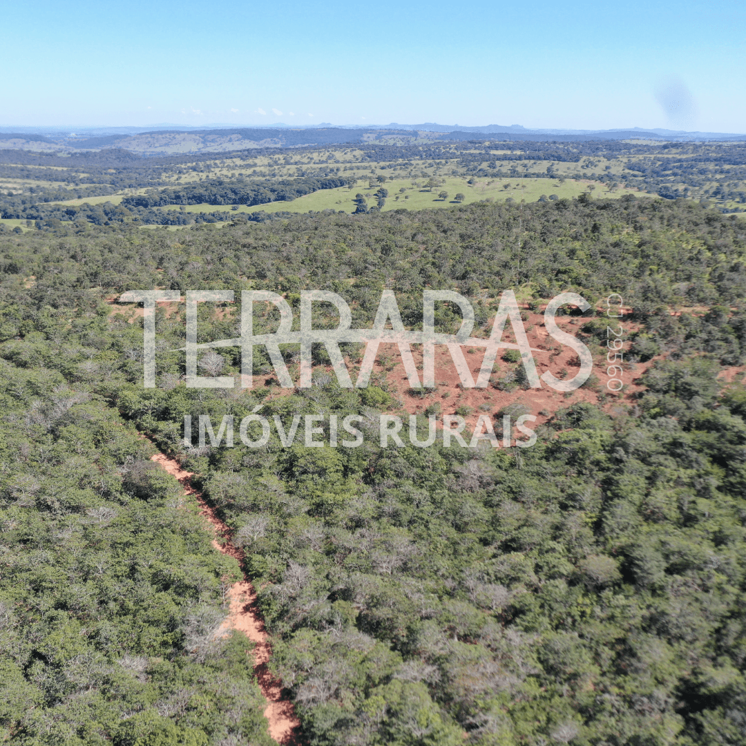FAZENDA EM AURILÂNDIA