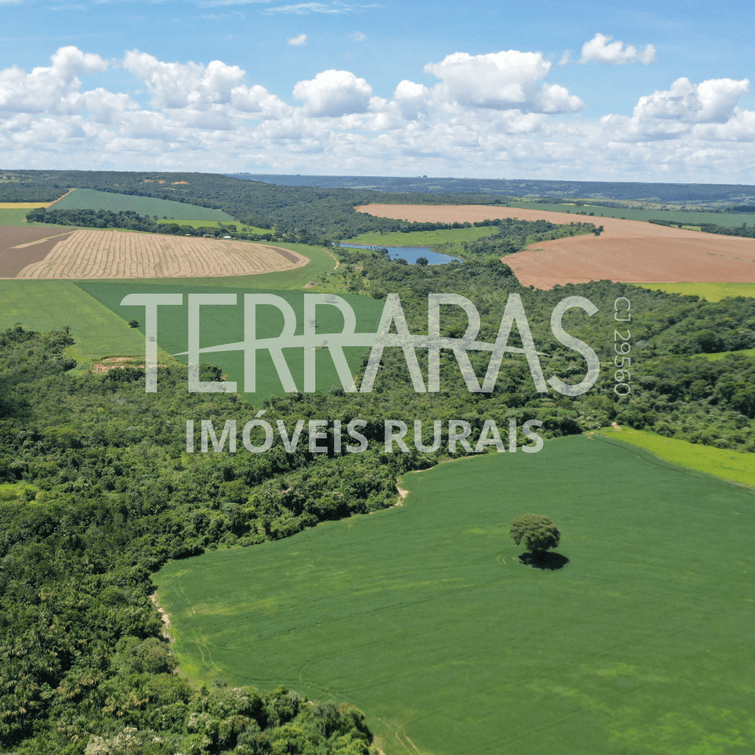 FAZENDA EM BELA VISTA
