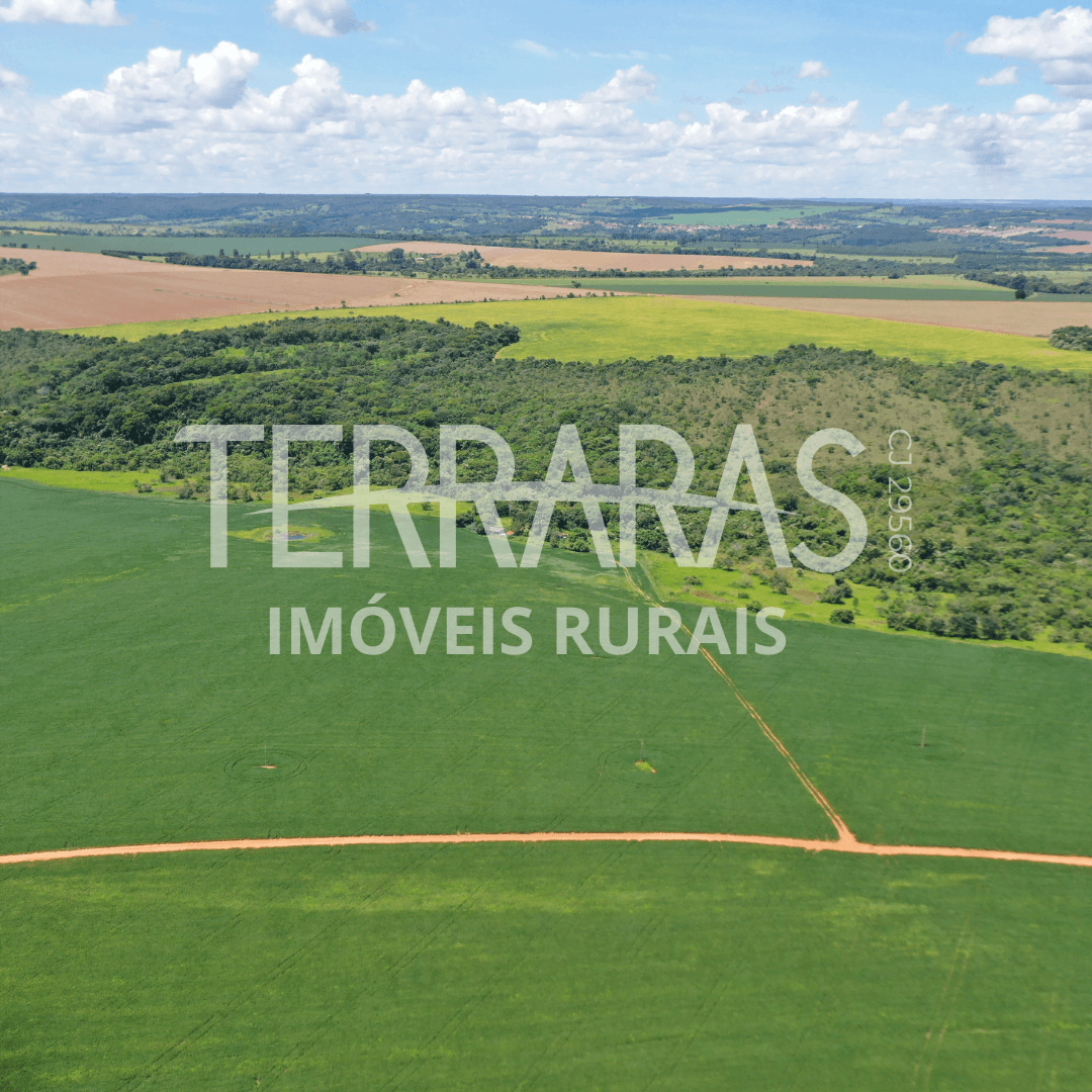 FAZENDA EM BELA VISTA