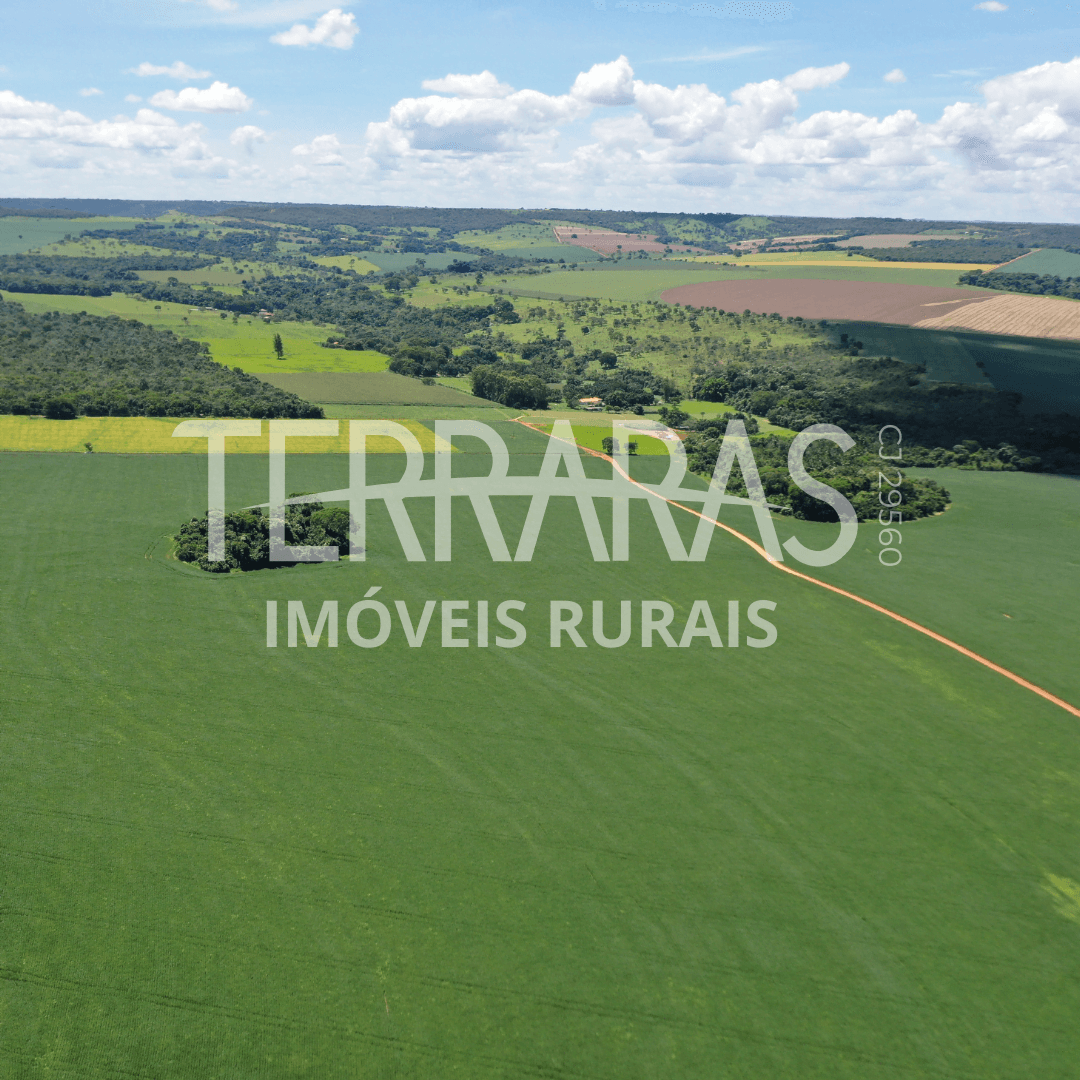 FAZENDA EM BELA VISTA