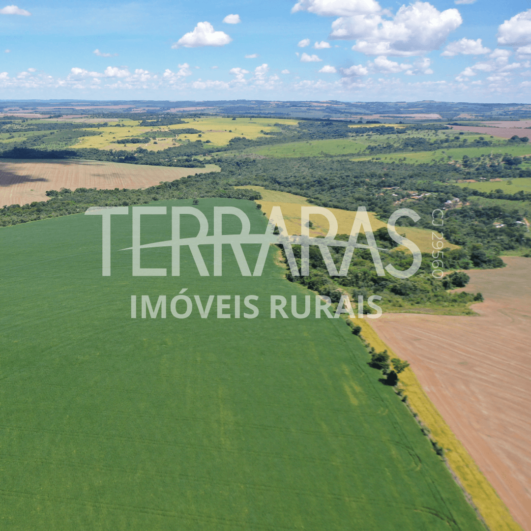 FAZENDA EM BELA VISTA