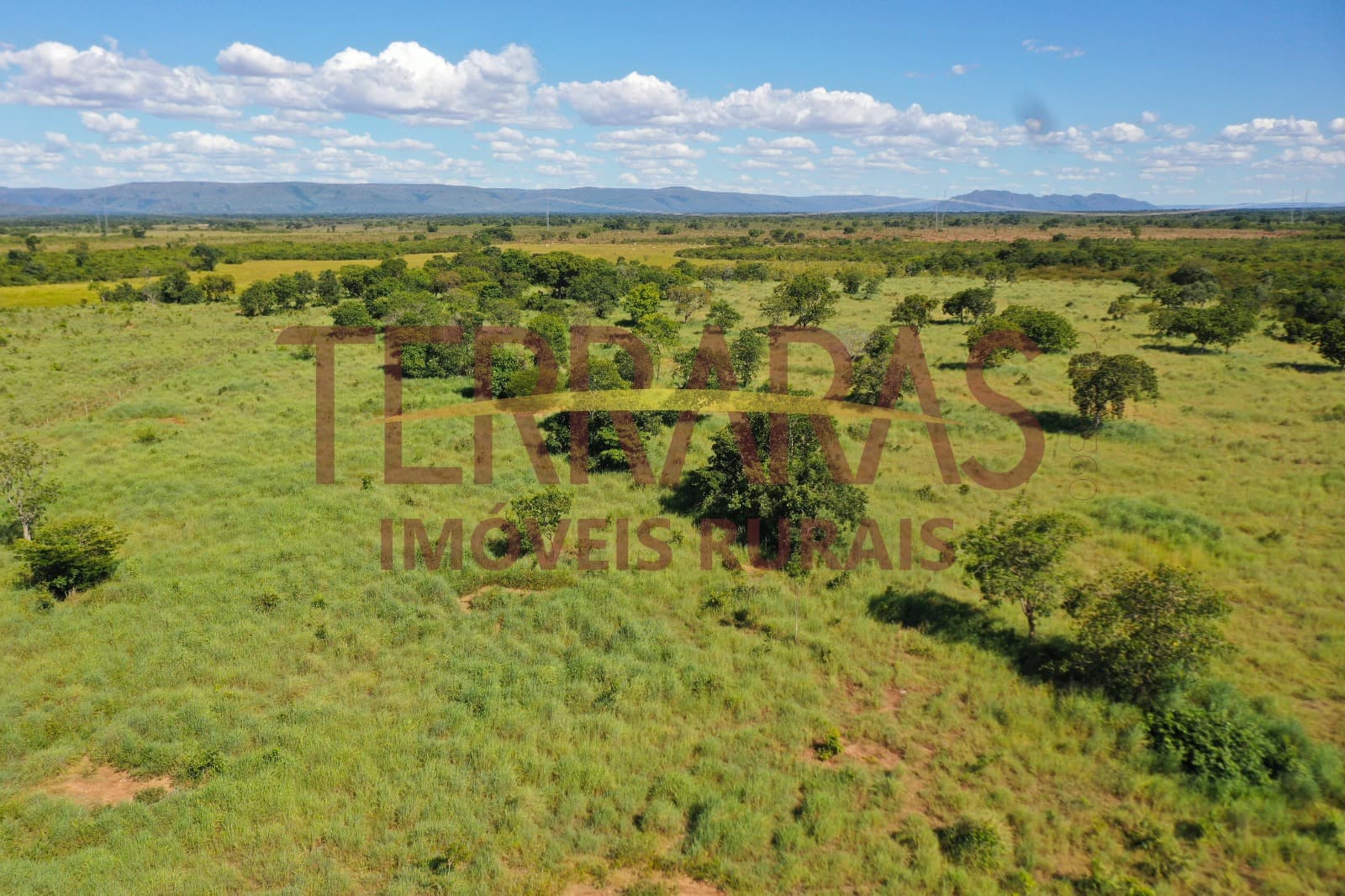 FAZENDA EM FLORES DE GOIÁS/GO