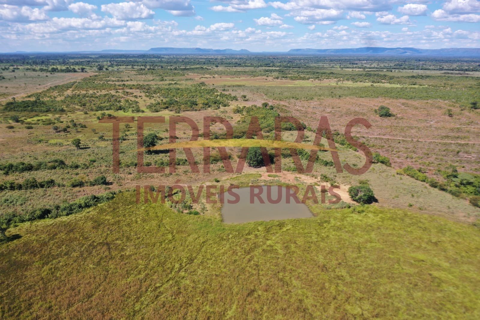 FAZENDA EM FLORES DE GOIÁS/GO