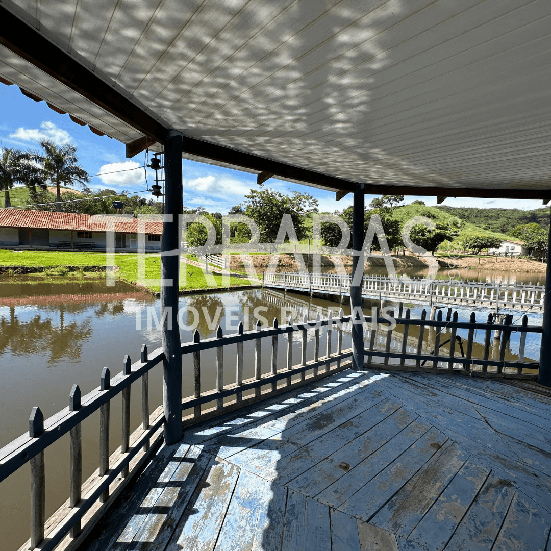 FAZENDA EM GOIÁS
