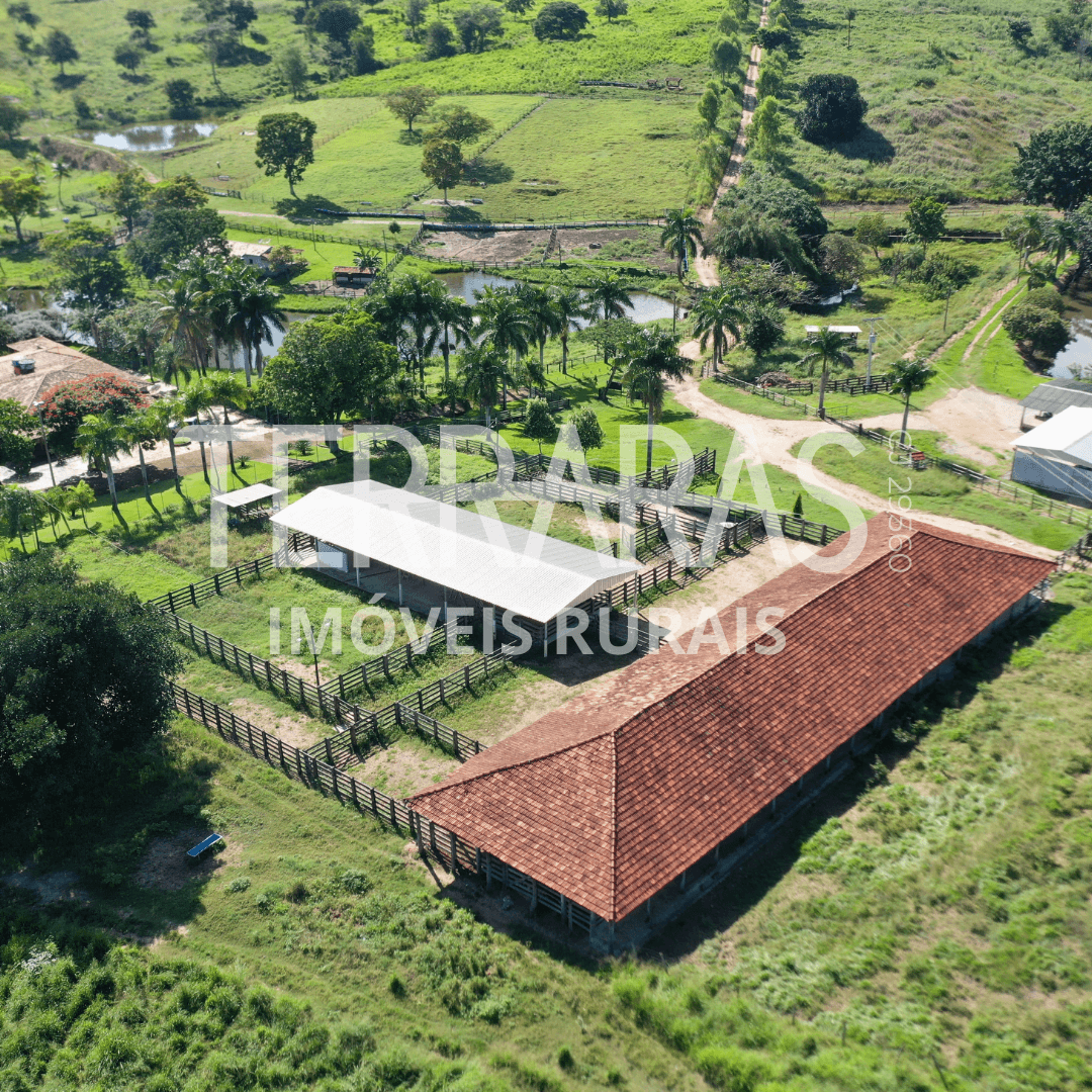 FAZENDA EM GOIÁS