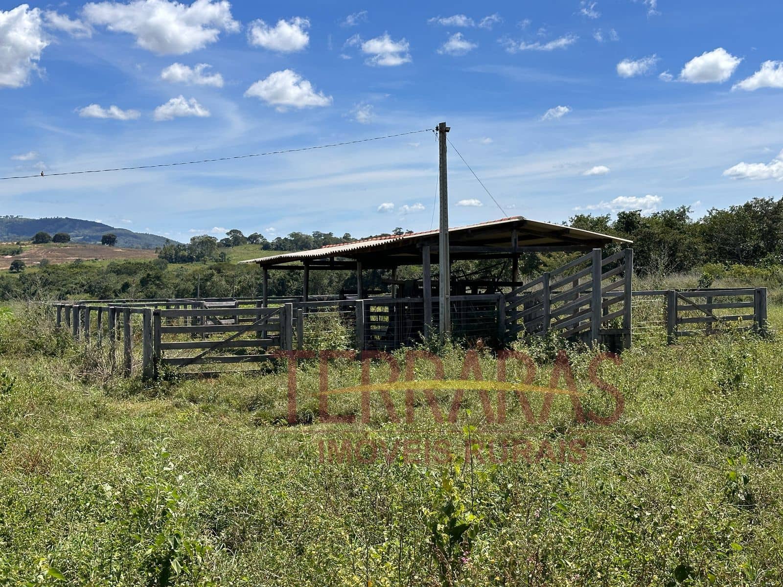Fazenda em Morrinhos/GO