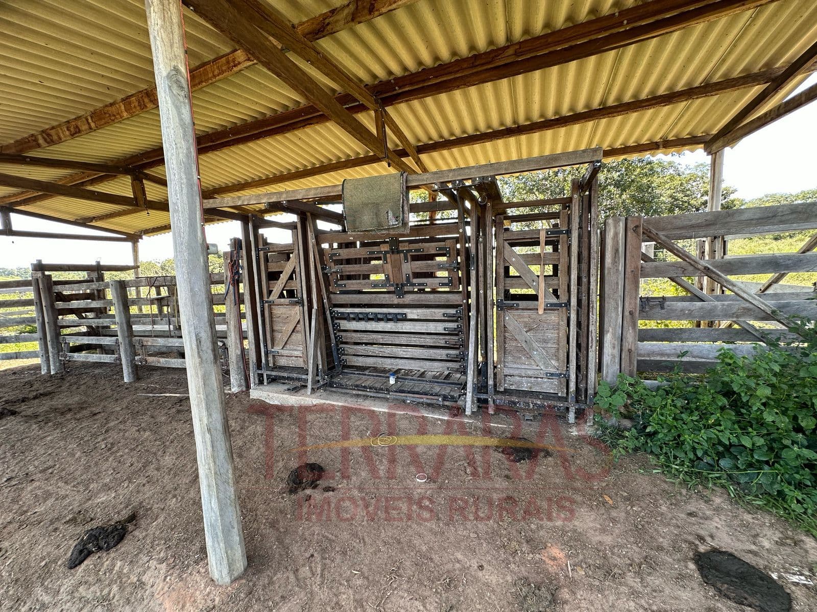 Fazenda em Morrinhos/GO