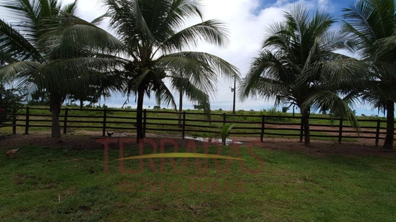 Fazenda em Santa Fé do Araguaia - TO