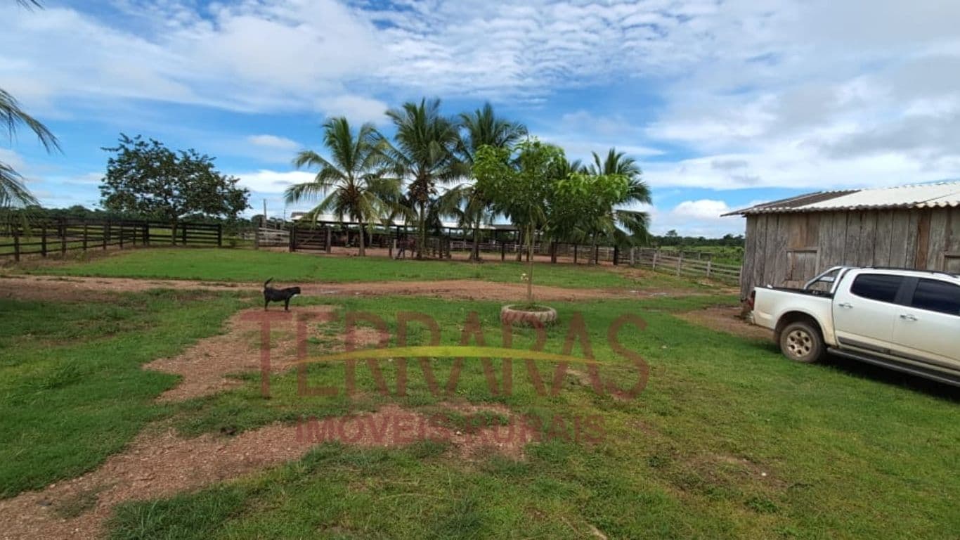 Fazenda em Santa Fé do Araguaia - TO