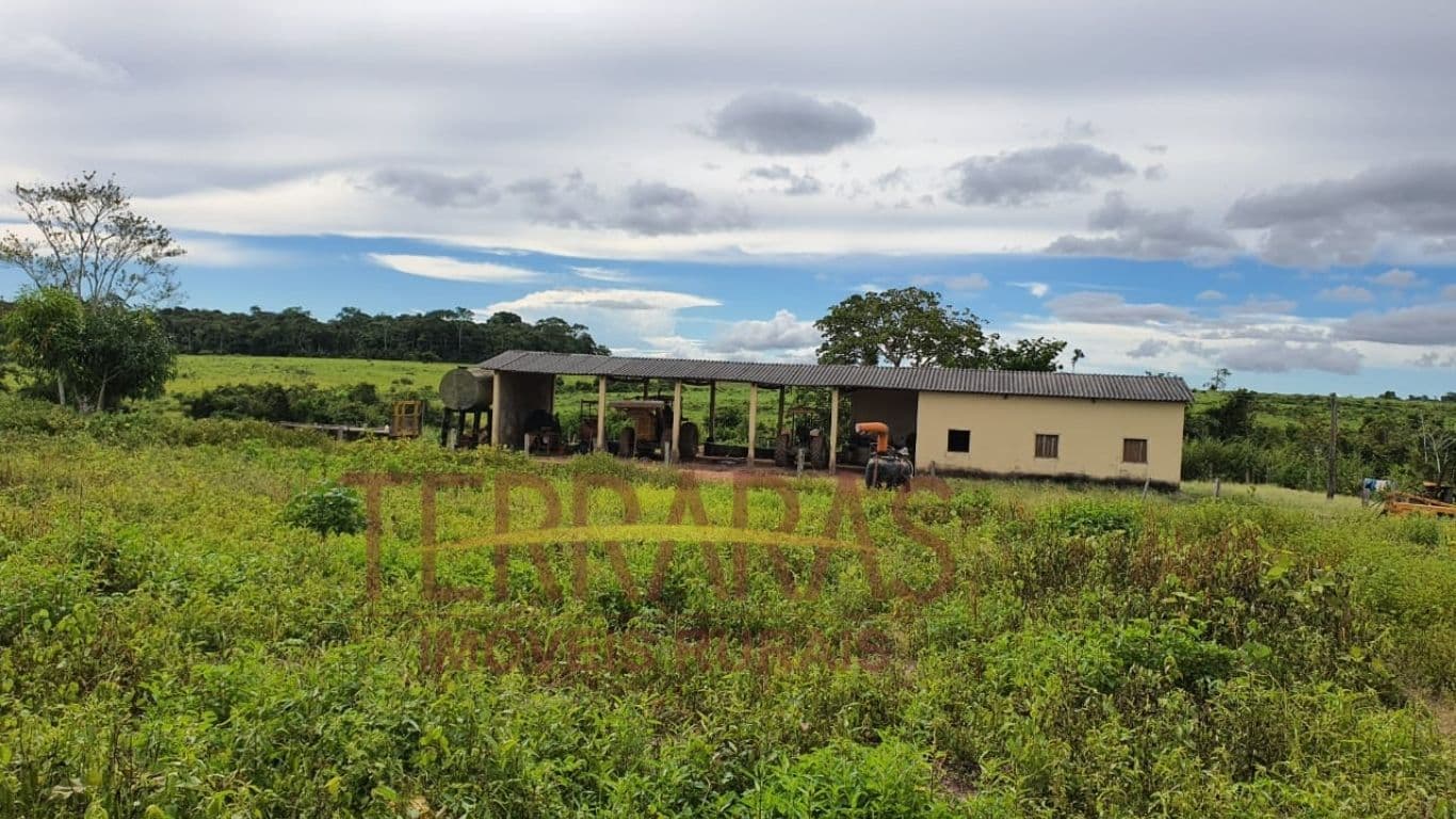 Fazenda em Santa Fé do Araguaia - TO
