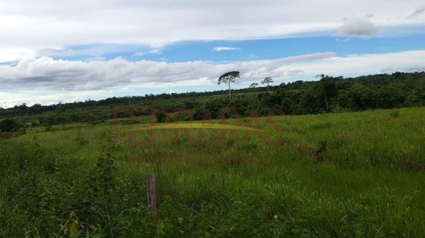 Fazenda em Santa Fé do Araguaia - TO
