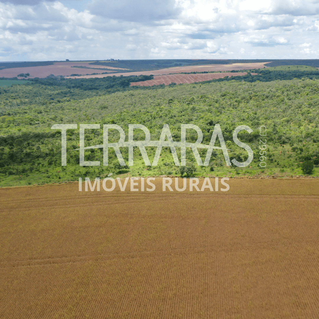 FAZENDA EM SILVÂNIA