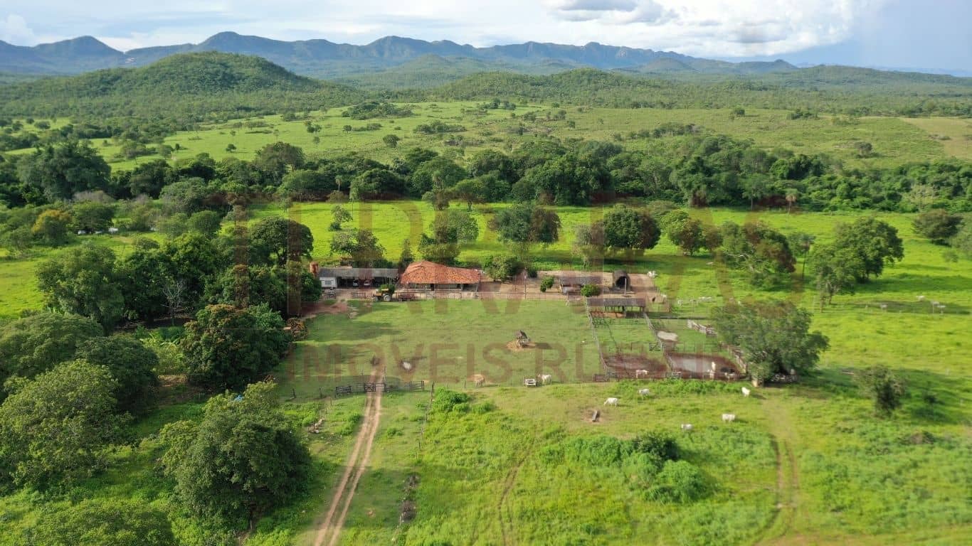 Fazenda em Teresina de Goiás/GO