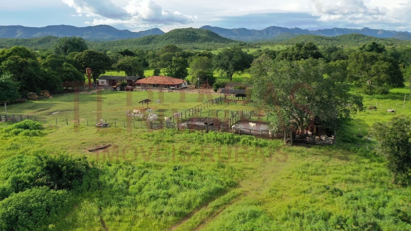 Fazenda em Teresina de Goiás/GO
