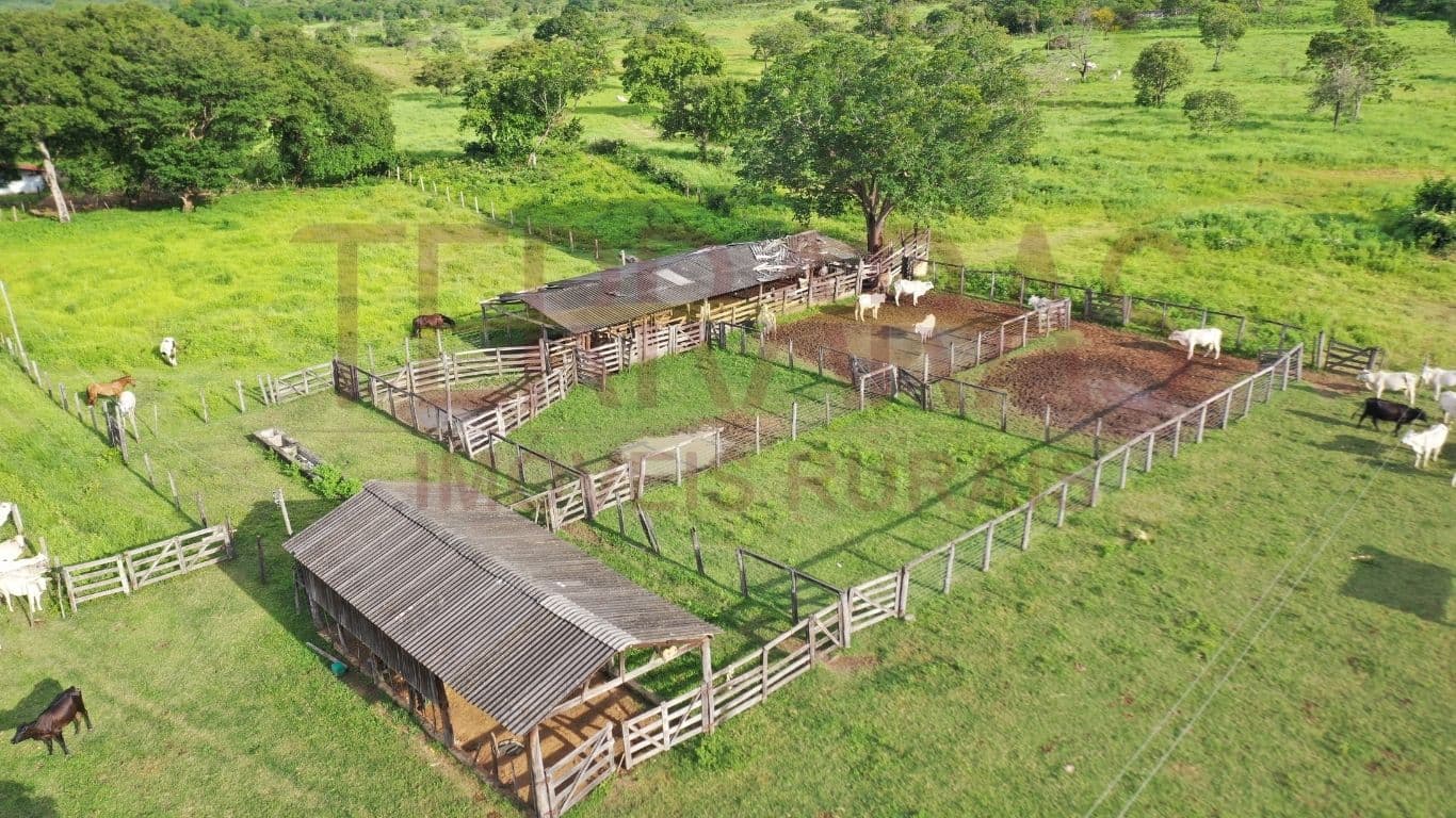 Fazenda em Teresina de Goiás/GO