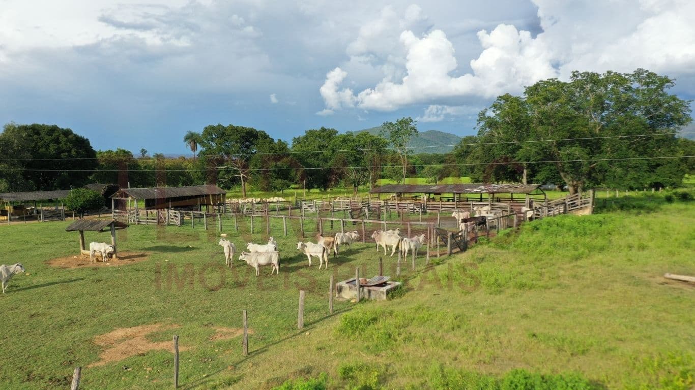 Fazenda em Teresina de Goiás/GO