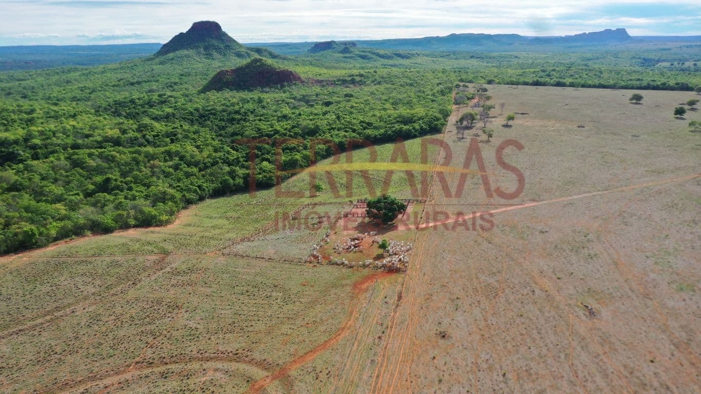 Fazenda em Tesouro/MT